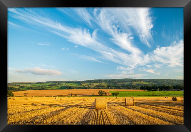 Field of bales near Newmilns in Ayrshire, Scotland Framed Print by Hugh Maxwell