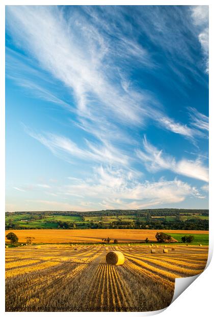 Field of bales near Newmilns in Ayrshire, Scotland Print by Hugh Maxwell