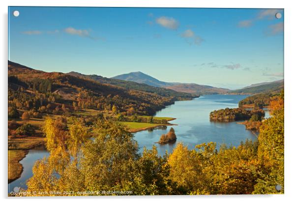 Queens View and Loch Tummel,Tay Forest Park, Scotl Acrylic by Arch White