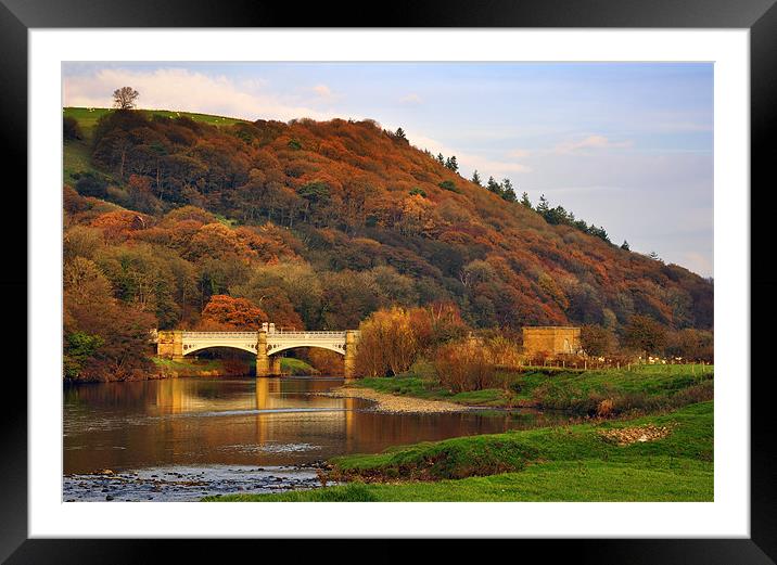 Golden Hour, River Lune Framed Mounted Print by Jason Connolly