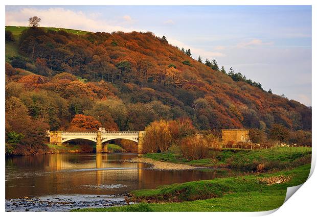 Golden Hour, River Lune Print by Jason Connolly