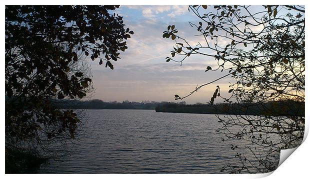 Autumn view over the Lake Print by Tracy Hicks