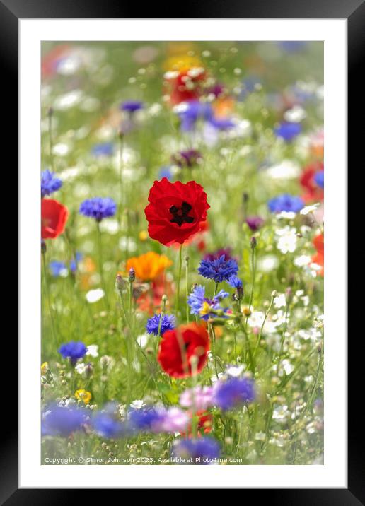 Blooming Poppy's Intimate Portrait Framed Mounted Print by Simon Johnson