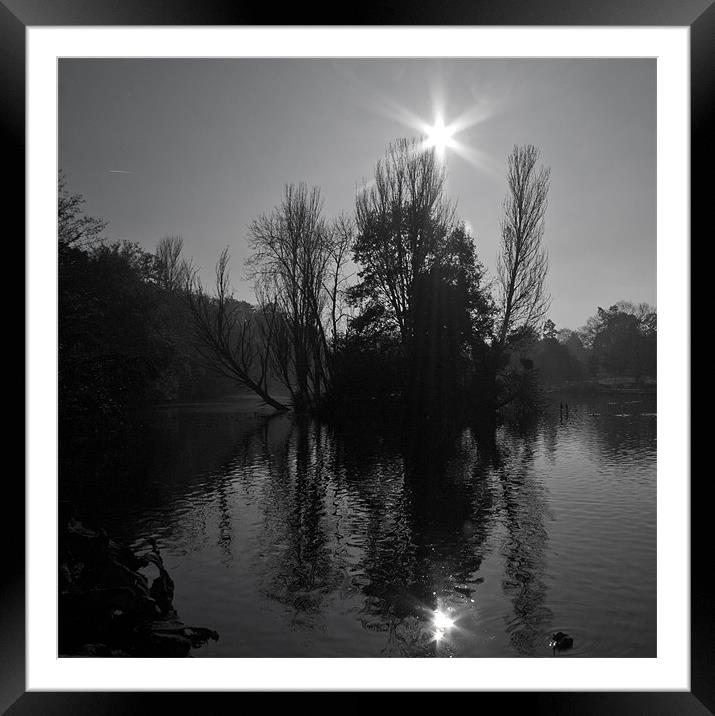 Winter Sunlight on Lake Framed Mounted Print by Dawn O'Connor