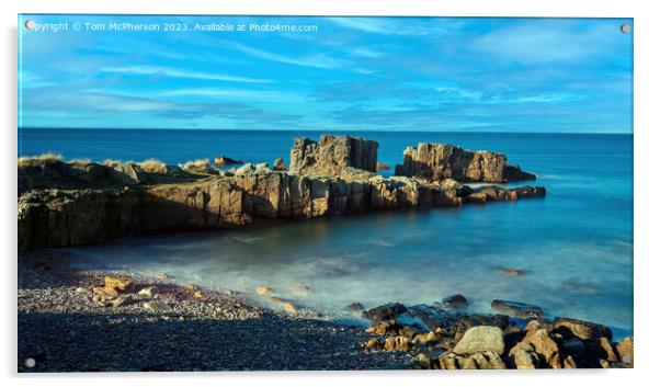 Daisy Rock: Unspoilt Coastal Enchantment Acrylic by Tom McPherson