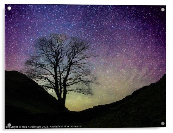 Starry Night Sycamore Gap Acrylic by Reg K Atkinson