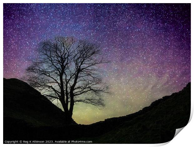Starry Night Sycamore Gap Print by Reg K Atkinson