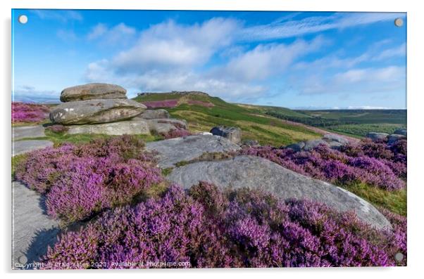 Peak District Heather. Acrylic by Craig Yates