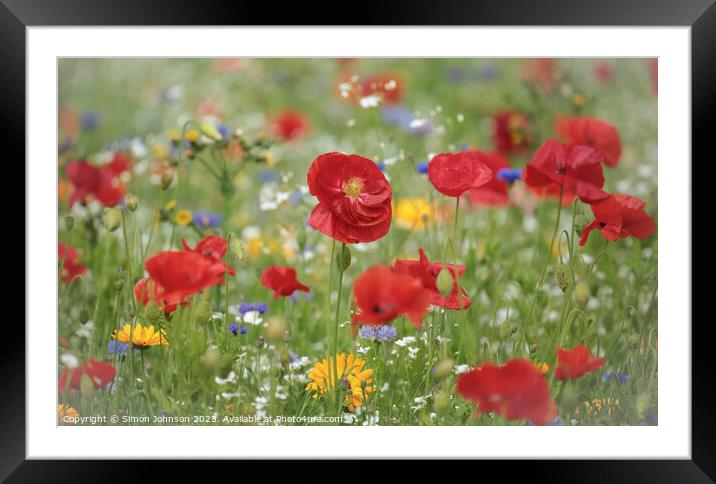 Poppys Framed Mounted Print by Simon Johnson
