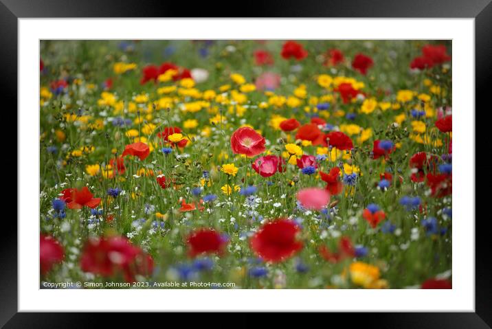 Wild flower field Framed Mounted Print by Simon Johnson