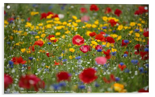 Wild flower field Acrylic by Simon Johnson