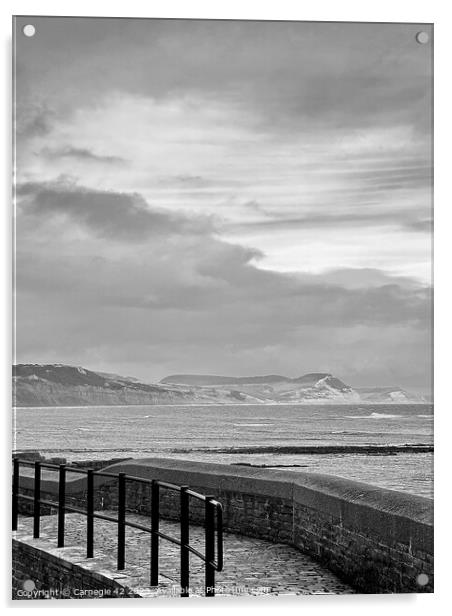 Tranquil Pier Amidst Coastal Splendour Acrylic by Carnegie 42