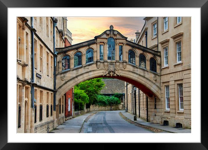 Hertford Bridge Oxford Framed Mounted Print by Steve Smith