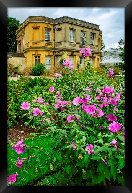 Oxford Botanical Gardens Framed Print by Steve Smith