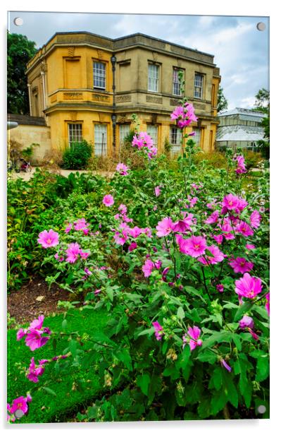 Oxford Botanical Gardens Acrylic by Steve Smith