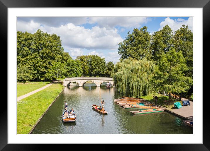 Picturesque punting scene Trinity Bridge Framed Mounted Print by Jason Wells
