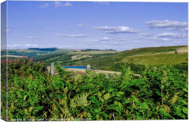 Strines Reservoir and Boots Folly Canvas Print by Diana Mower