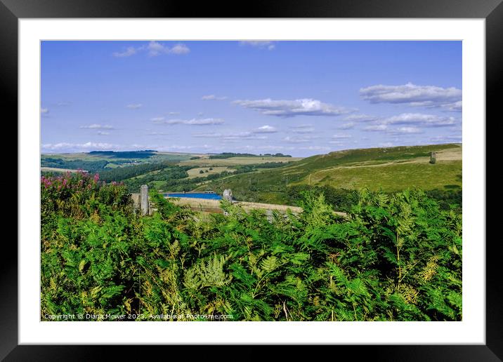 Strines Reservoir and Boots Folly Framed Mounted Print by Diana Mower