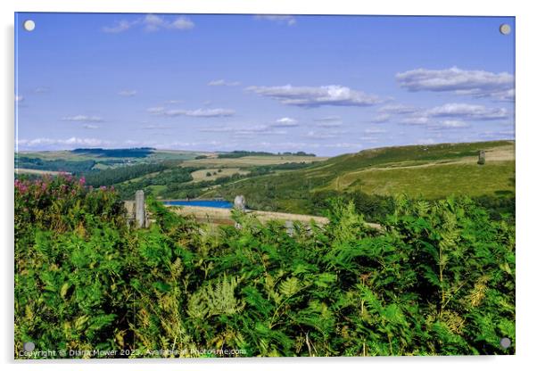 Strines Reservoir and Boots Folly Acrylic by Diana Mower