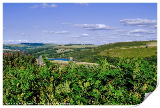 Strines Reservoir and Boots Folly Print by Diana Mower