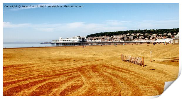 The Beach And Pier At Weston-super-Mare Print by Peter F Hunt