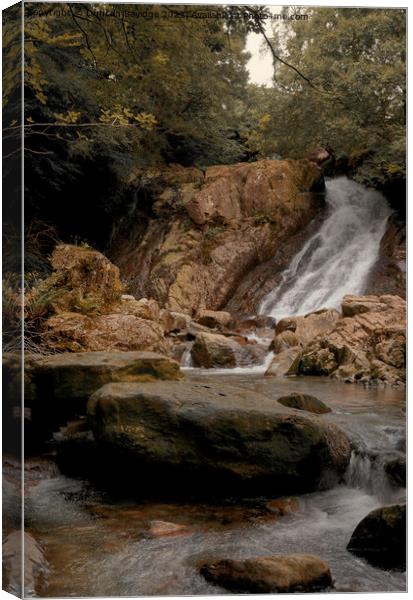 Coniston Waterfall  Canvas Print by Duncan Savidge
