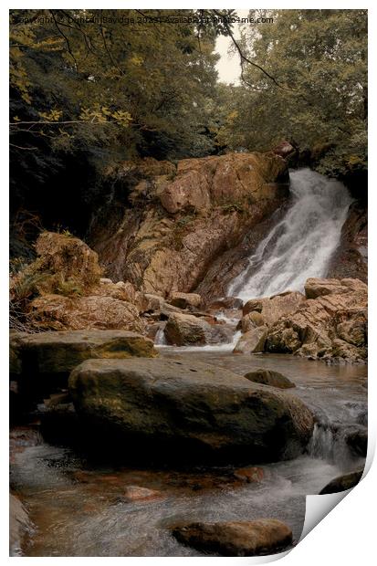 Coniston Waterfall  Print by Duncan Savidge