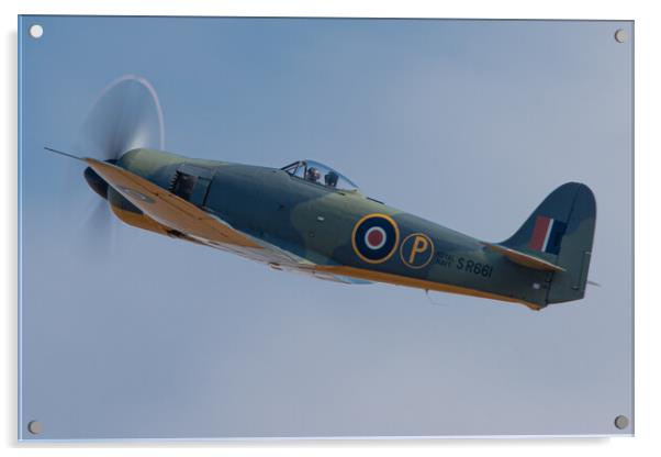 Hawker Fury Mk.II SR611 Acrylic by J Biggadike