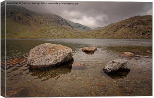 Levers water Coniston Canvas Print by Duncan Savidge