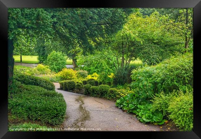 Winding through Greens. Framed Print by 28sw photography