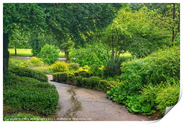 Winding through Greens. Print by 28sw photography