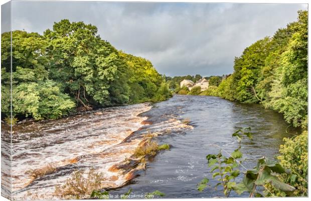 Bright Patch on the Tees at Demesnes Mill, Barnard Castle Canvas Print by Richard Laidler