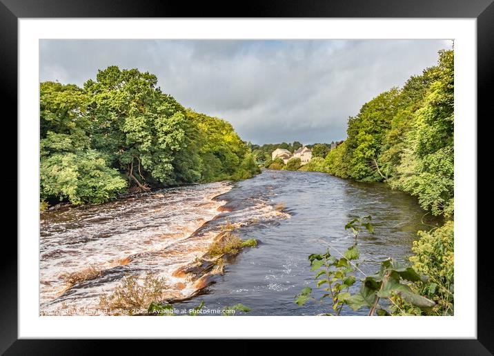 Bright Patch on the Tees at Demesnes Mill, Barnard Castle Framed Mounted Print by Richard Laidler