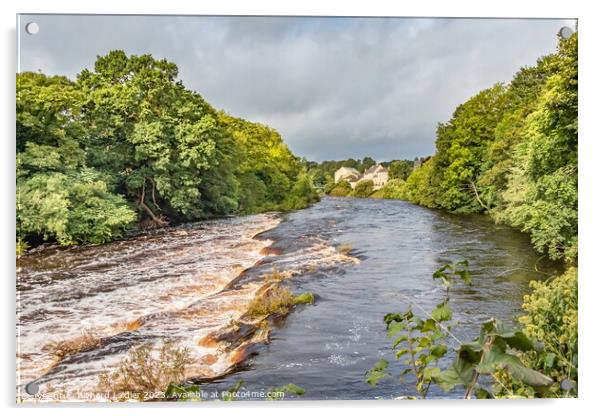 Bright Patch on the Tees at Demesnes Mill, Barnard Castle Acrylic by Richard Laidler