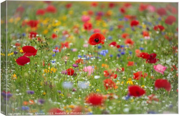  Wild flower field with Poppies Canvas Print by Simon Johnson