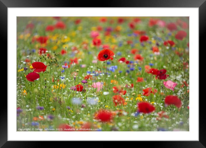  Wild flower field with Poppies Framed Mounted Print by Simon Johnson