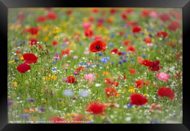  Wild flower field with Poppies Framed Print by Simon Johnson