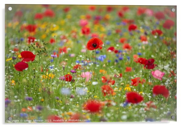  Wild flower field with Poppies Acrylic by Simon Johnson