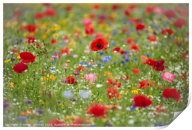  Wild flower field with Poppies Print by Simon Johnson
