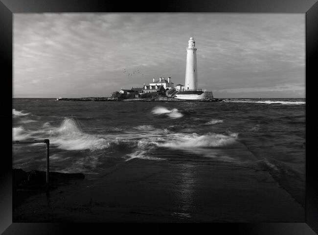 St Marys Lighthouse Black and White  Framed Print by Anthony McGeever