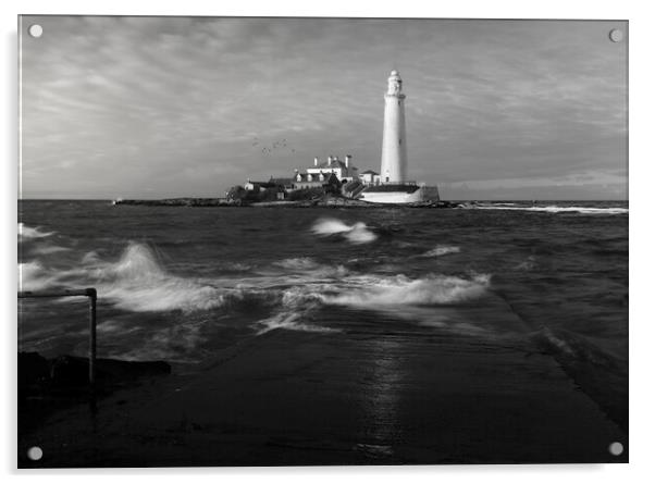 St Marys Lighthouse Black and White  Acrylic by Anthony McGeever