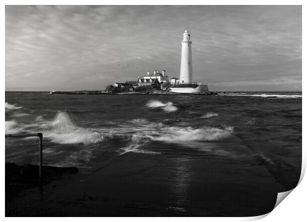 St Marys Lighthouse Black and White  Print by Anthony McGeever