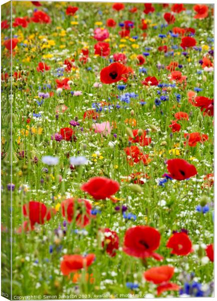 wild flower field Canvas Print by Simon Johnson