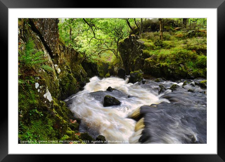 Lodore Falls, Lake District Framed Mounted Print by EMMA DANCE PHOTOGRAPHY