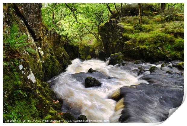 Lodore Falls, Lake District Print by EMMA DANCE PHOTOGRAPHY