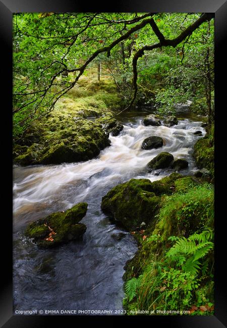The Streams at Lodore Falls, Lake District Framed Print by EMMA DANCE PHOTOGRAPHY