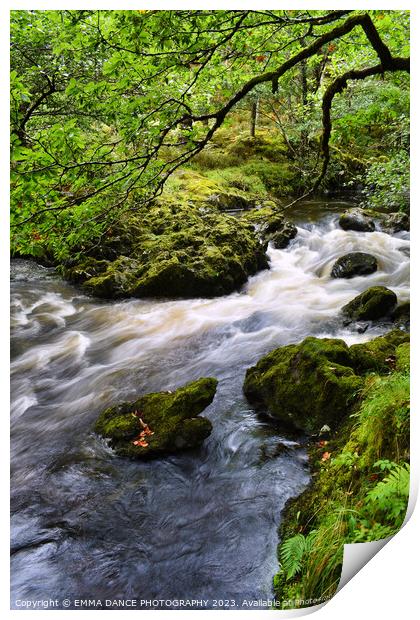 The Streams at Lodore Falls, Lake District Print by EMMA DANCE PHOTOGRAPHY