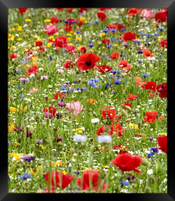 wild flowers with poppies Framed Print by Simon Johnson