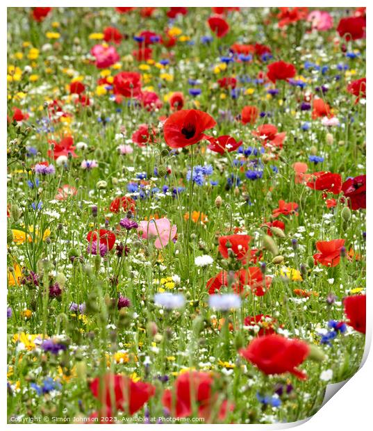 wild flowers with poppies Print by Simon Johnson