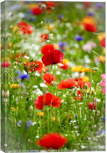 meadow flowers with poppies Canvas Print by Simon Johnson